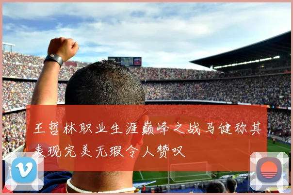 王哲林职业生涯巅峰之战马健称其表现完美无瑕令人赞叹