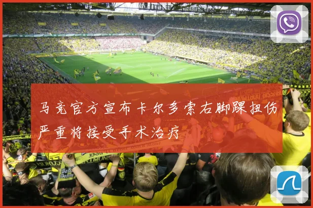 马竞官方宣布卡尔多索右脚踝扭伤严重将接受手术治疗
